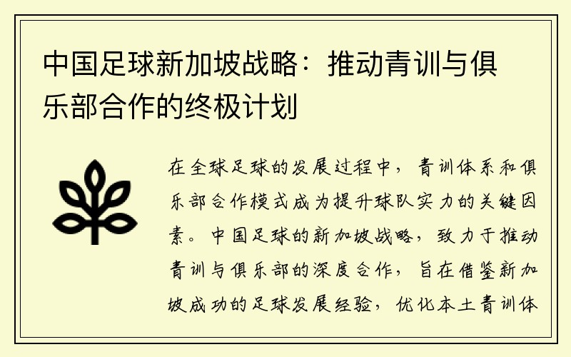 中国足球新加坡战略：推动青训与俱乐部合作的终极计划