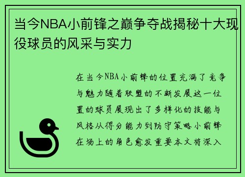当今NBA小前锋之巅争夺战揭秘十大现役球员的风采与实力