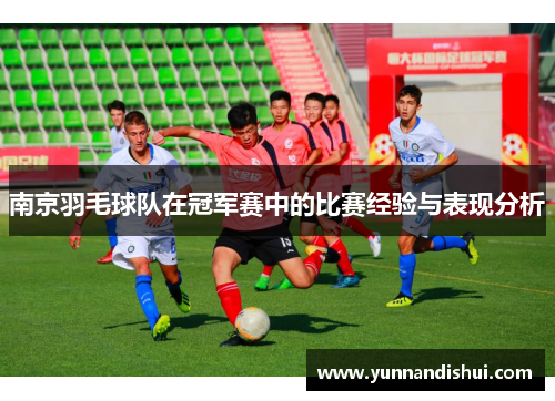南京羽毛球队在冠军赛中的比赛经验与表现分析