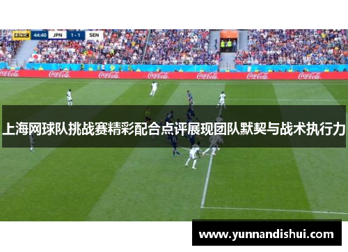 上海网球队挑战赛精彩配合点评展现团队默契与战术执行力
